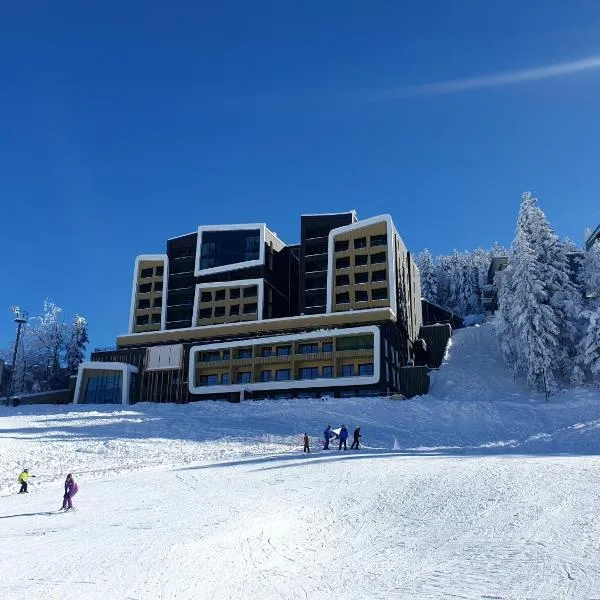 NA STAZI-Luxury Mountain- on the ski slope-Free parking,Tuzlaks apartment, hotel in Bjelašnica