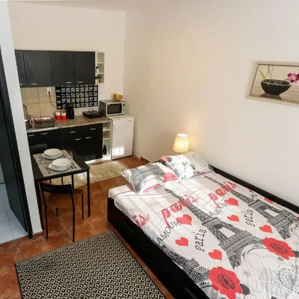 Studio Vracar, hotel v Bělehradě