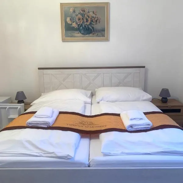 Pension VIDHOUS 1, hotel v destinaci Františkovy Lázně