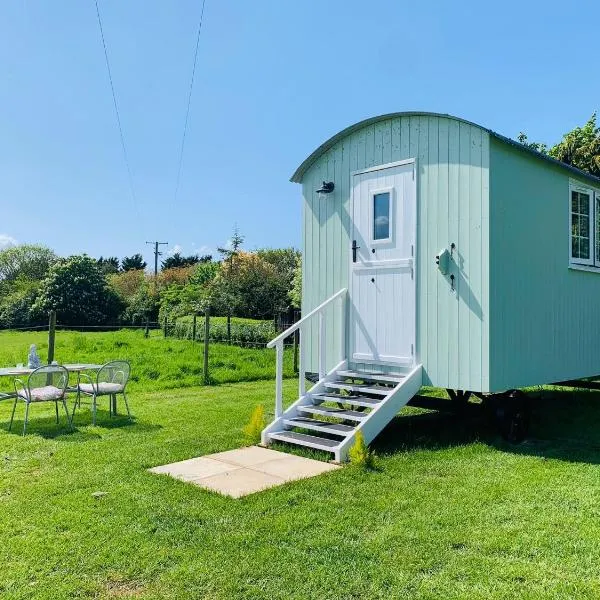 Bells Meadow Shepherds Hut, hotel in Denver