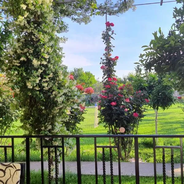 Room with private garden, hotel v destinaci Shkodër