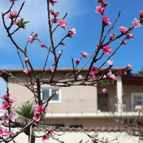 Residenza Anna Calabria, hotel em Briatico