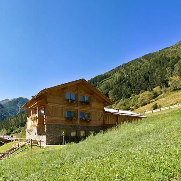 Cogolo में, होटल Hotel Chalet Alpenrose Bio Wellness Naturaktivhotel