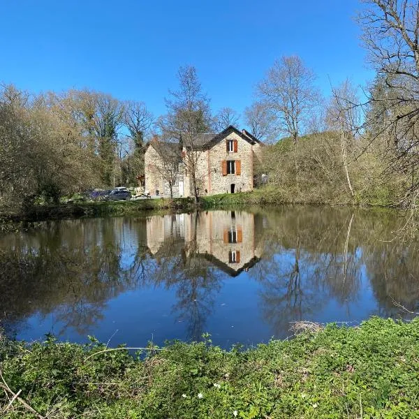 Gite du moulin de Verneiges, hotell i Verneiges
