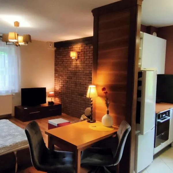 Leśny Apartament, hotell sihtkohas Jeńki