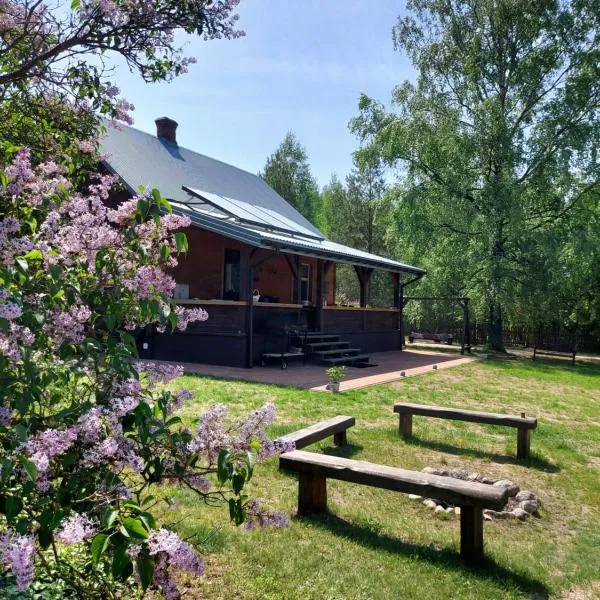 Olszówka, Hotel in Olszowa Droga