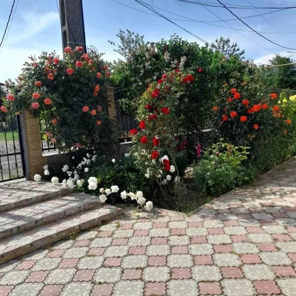 Casa G, hotel v destinaci Douăzeci şi Trei August