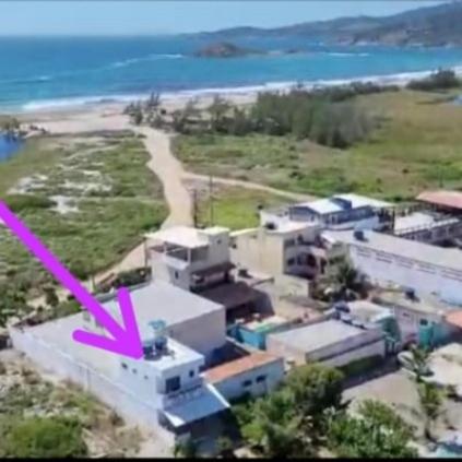 Suite Flor do mar