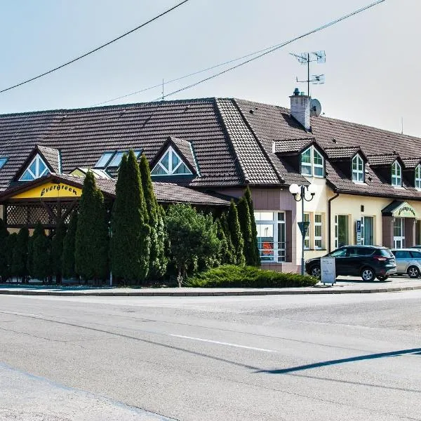 Penzión Evergreen, hotel din Trenčín