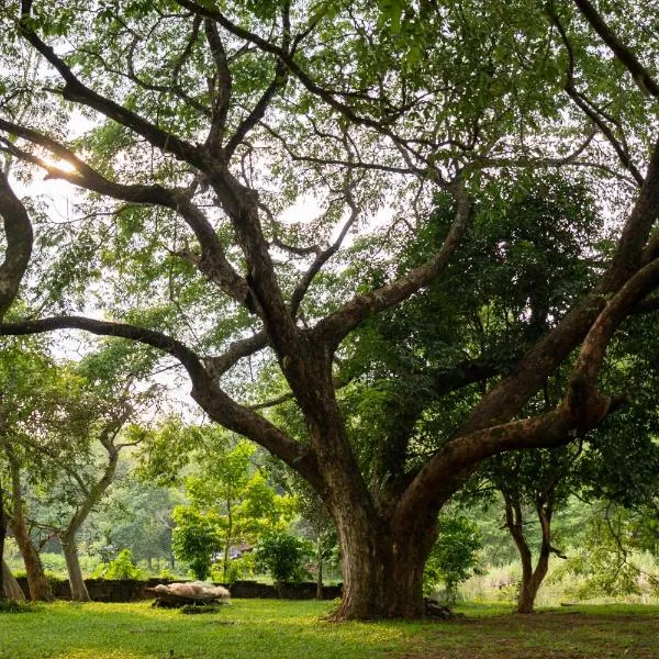 The Nest Thattekad, hotel en Kotamangalam