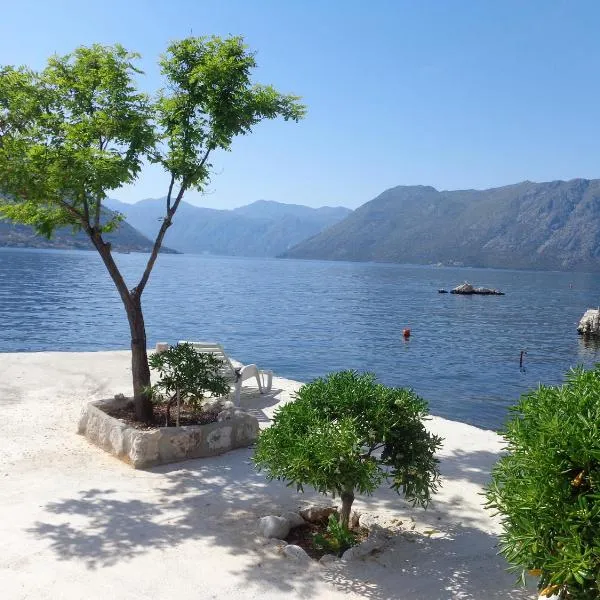 Apartments Ponta, hotel in Kotor