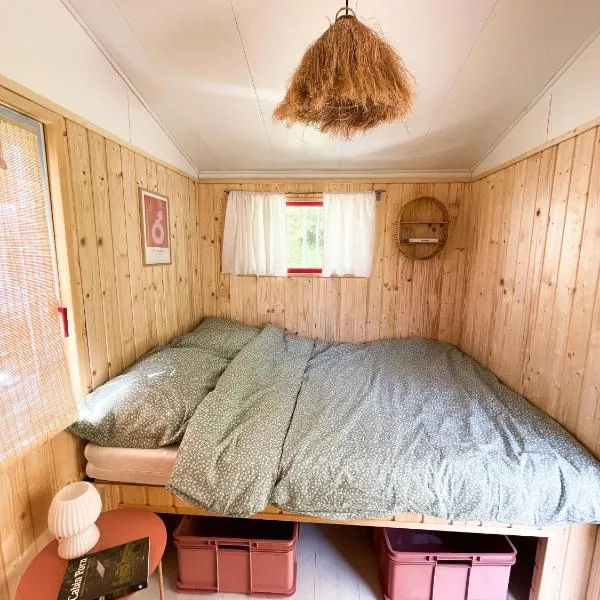 Camping Rogowo, hotel v destinaci Mrzeżyno