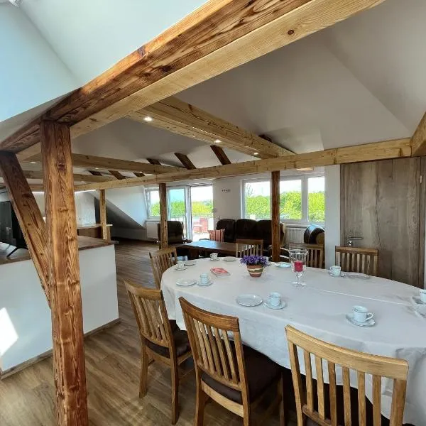 Apartmenthaus Landeskrone Dresden für Gruppen bis 20 Personen, 2 Wohnungen, Sauna, Dachterrasse & Garten, Hotel in Dresden