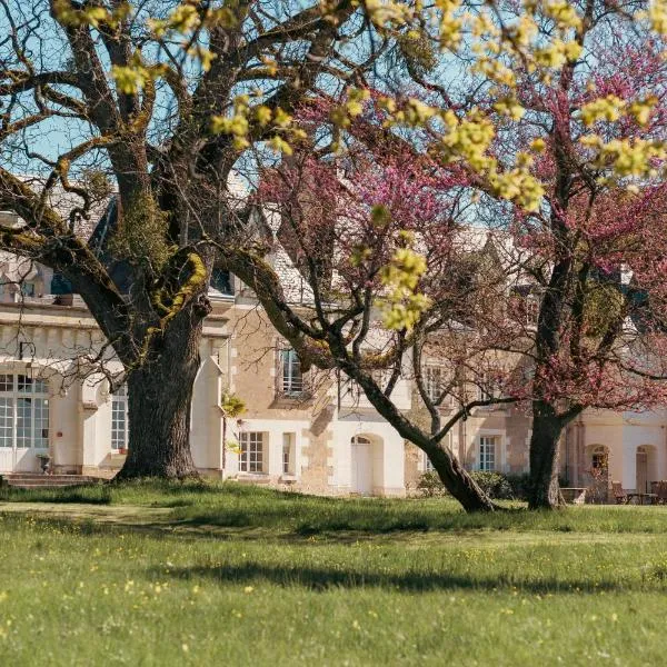 Château De Razay, hotel in Épeigné-les-Bois