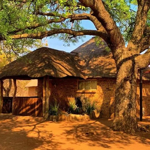 Unathi Game Lodge, hotel v destinácii Tshwee