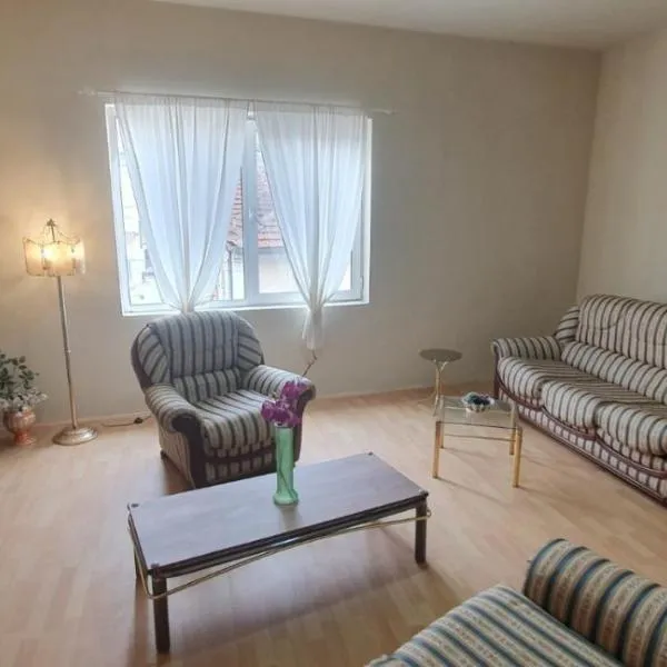 Aleksinac Centar Two-Bedroom Apartment, hotel v destinaci Aleksinac
