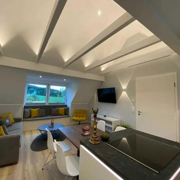 DRIEHOF Panorama Apartment Apt 8, хотел в Текленбург