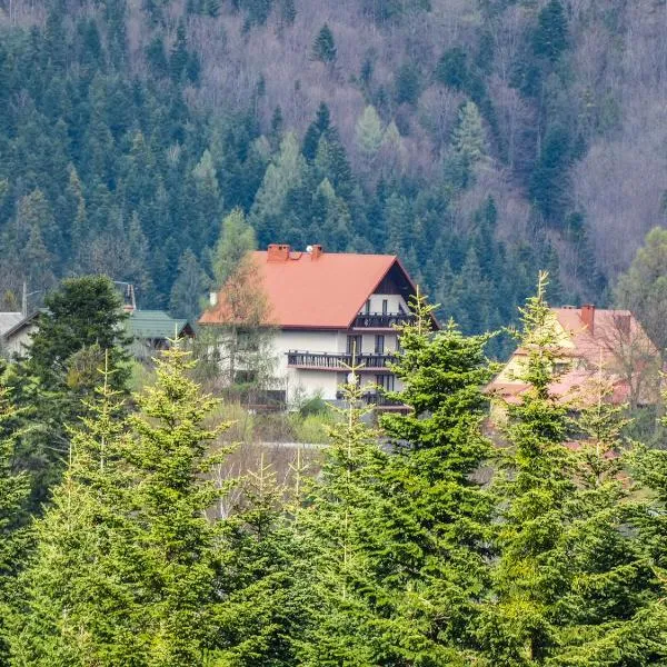 Agroturystyka Górski Wypoczynek, hotel v destinácii Stryszawa