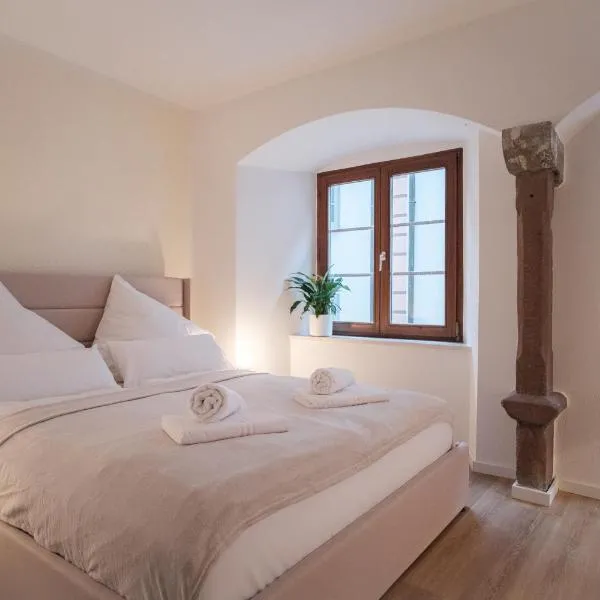 Viesnīca Neues Design-Apartment, Altstadt, Business&Ferien, Küche, Netflix pilsētā Bādzekingene