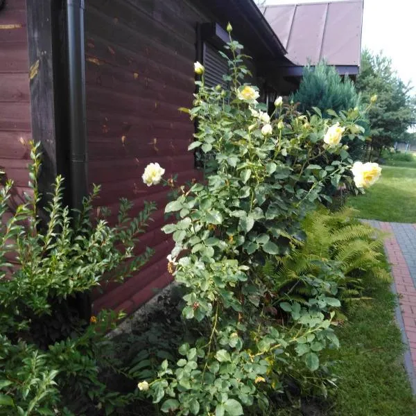 Noclegi przy kominku, hotel in Matiaszówka