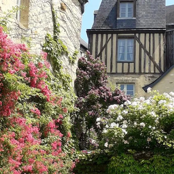 Petite Maison Romantique au calme, Cœur Historique, vue Ville et Jardin, hôtel au Mans