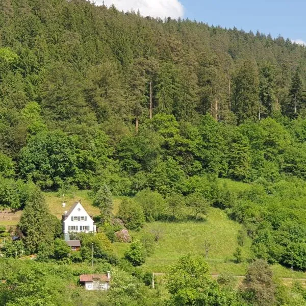 Ferienhaus Waldglück, отель в городе Кальв