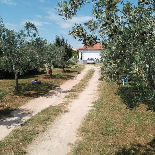 Apartman Grbić – hotel w mieście Vodnjan