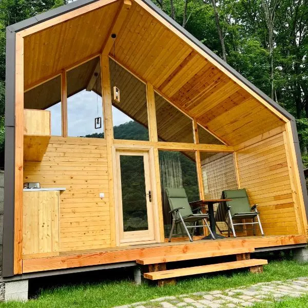 Cabana Bahna 2, hotel in Orşova