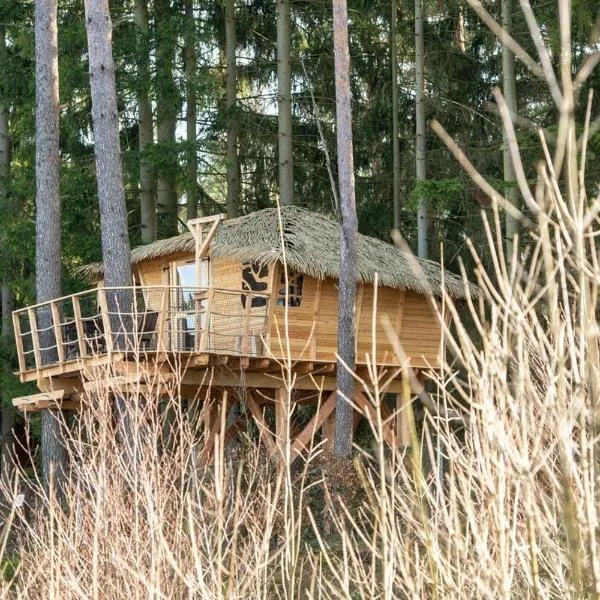 Treehouse U rybníka, hotel v destinaci Osečná