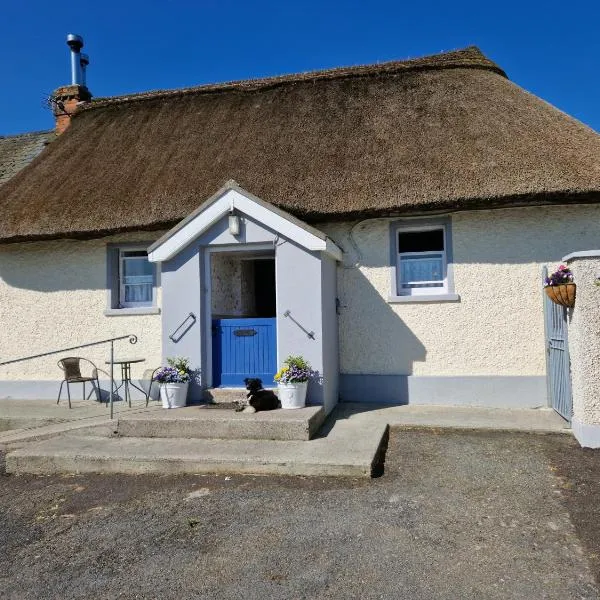 Suir Valley Cottage., hotel v destinaci Bawnfune