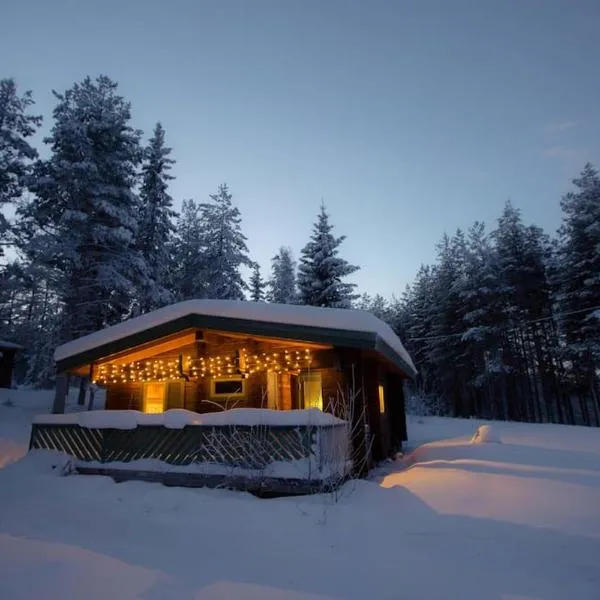 Log Cabin, forrest , sea view, north Sweden., hotel em Älvsbyn