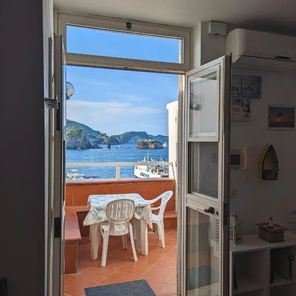Ponza Holiday Homes - Porto，位于蓬扎的酒店