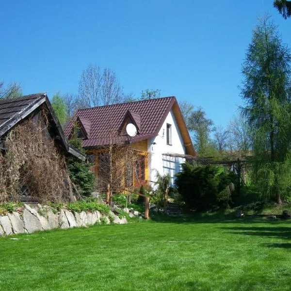 Agroturystyka Kalina Wielka, hotel in Wodzisław