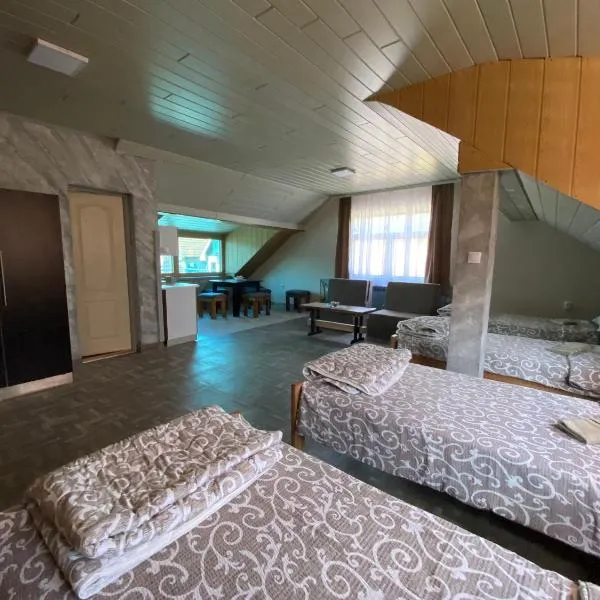 Vista Point Apartment, hotel in Bajina Bašta