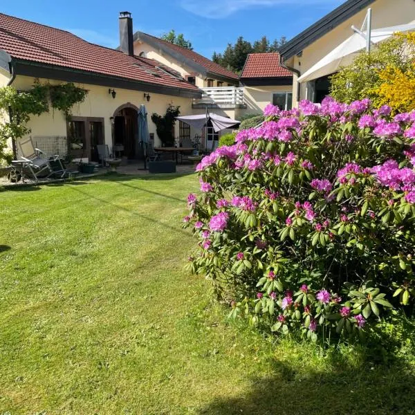 Chambres d’hôtes plateau des mille étangs, hotel in Sainte-Marie-en-Chanois