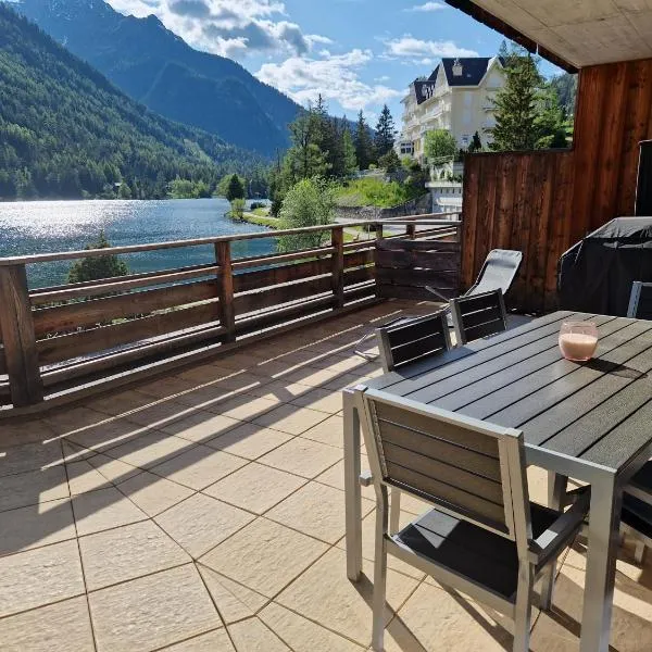 Superbe appartement Champex-Lac avec piscine et sauna, hotel in Champex