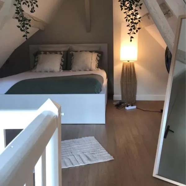 Charmant Duplex - Parking inclus - Au bord de l'Eure, hôtel à Chartres