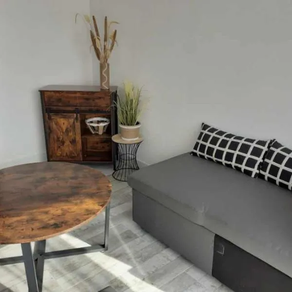 Studio avec mezzanine, hotel v destinaci Gujan-Mestras