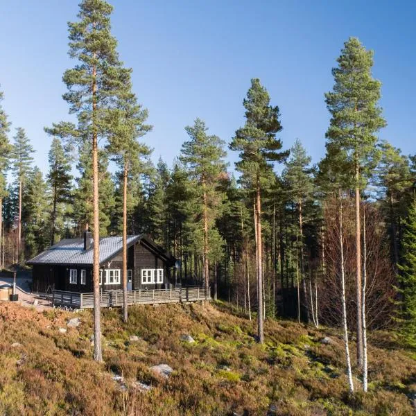Chalet Vrådal - 8p - With Sauna & Hot Tub, hotel in Vradal
