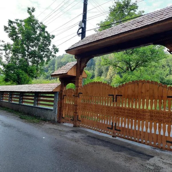Pensiunea Micul Maramureș, hotel v destinaci Adunaţi