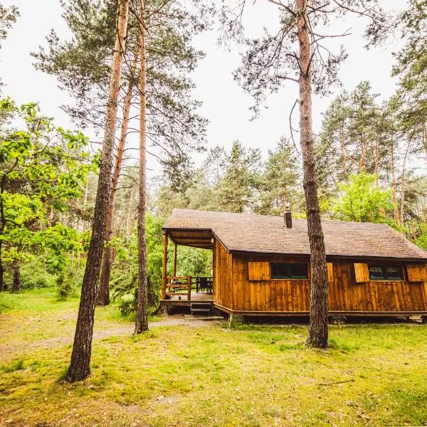 Cozy Nature Retreat with Patio Fireplace Garden, hotel in Maciejowice