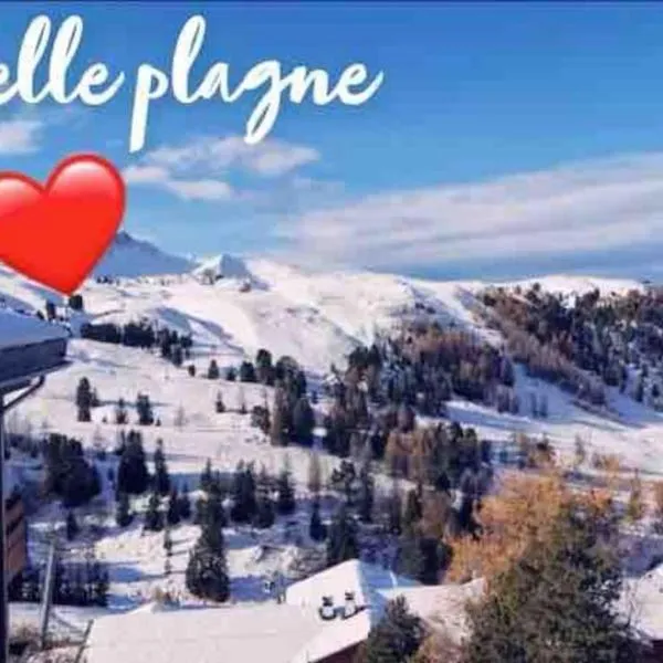 Appartement BELLE PLAGNE, готель у місті Бель-Плань