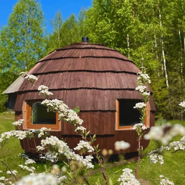 Mežagaiļu idiļļa, hotel a Zeļčava