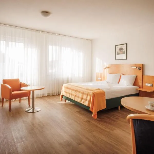 Ariva Boardinghouse Platanenhof, hotel in Mannheim