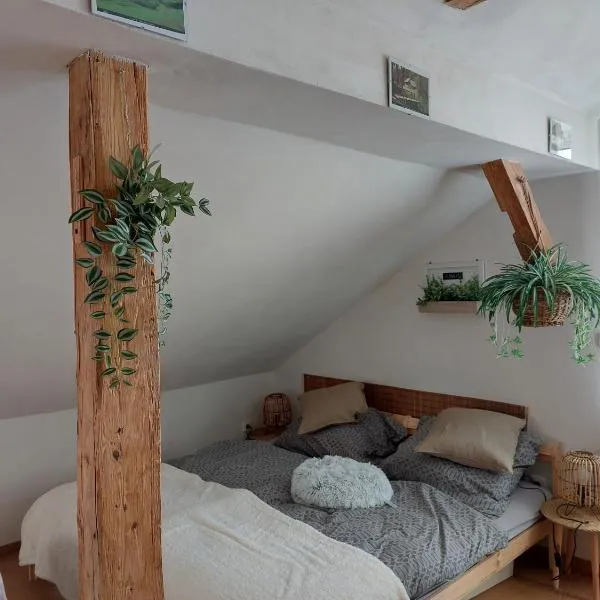 Apartmán Mourek, hotel v Hartmanicích