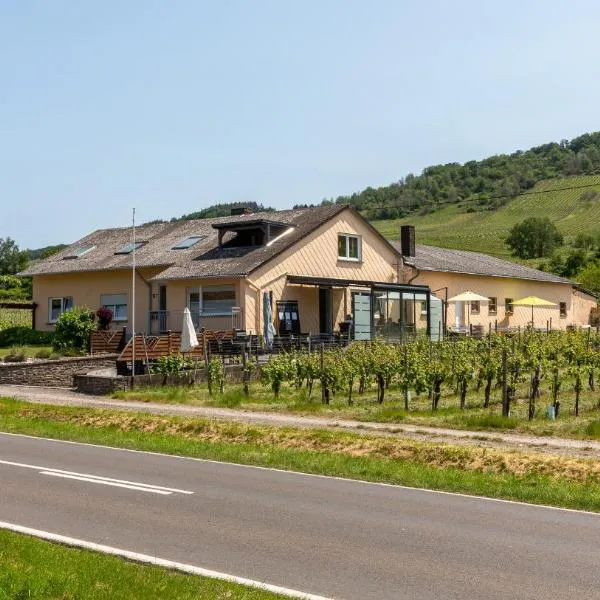 Weingut J. A. Meyer, hotel v destinaci Wintrich