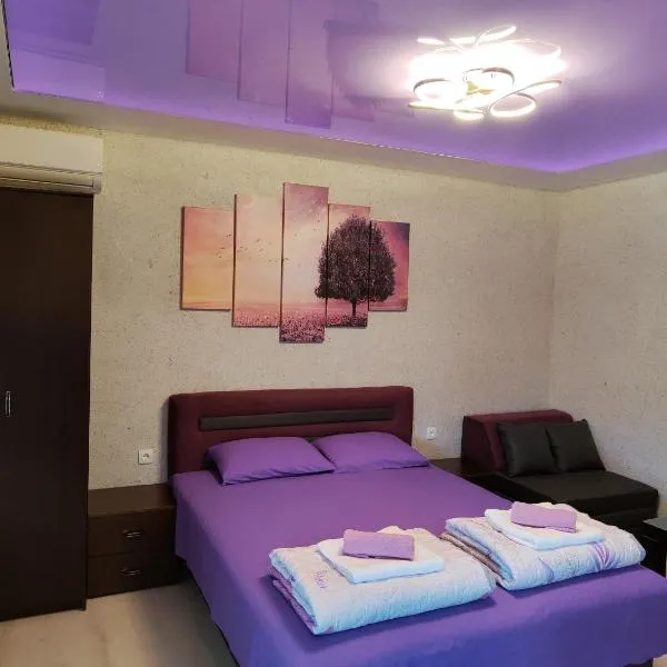 Centrum Lux Apartment, hotel in Niš