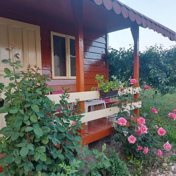 Pensiunea Raluca, hótel í Mahmudia