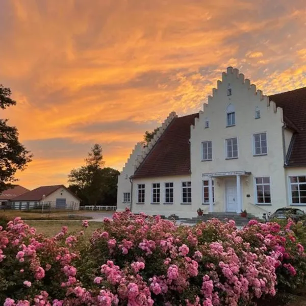 Boutiquehotel Gut Tribbevitz auf Rügen, khách sạn ở Neuenkirchen auf Rugen