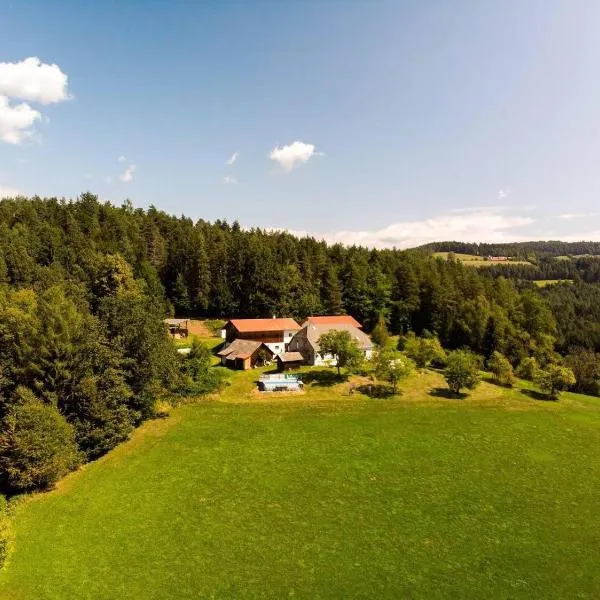 Ferienhaus Karl, hotel v destinaci Bleiburg